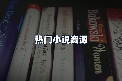 热门小说资源